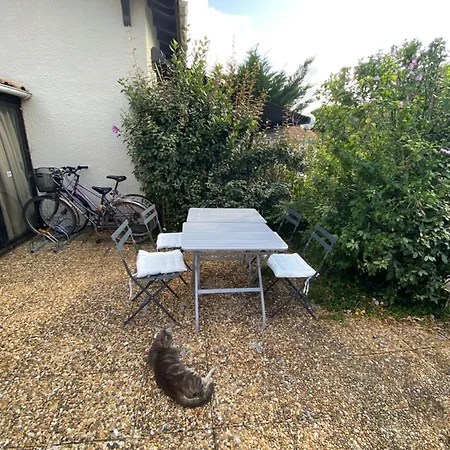 Patio Port 度假居